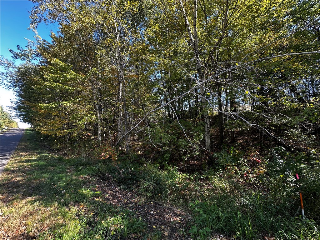 Lot 3 180th Street/181st Street Chippewa Falls WI 54729 1589370 image22