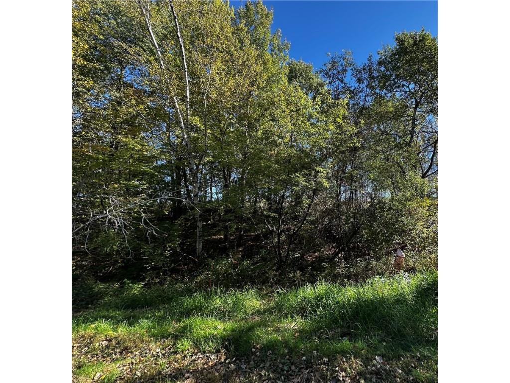 Lot 3 180th Street/181st Street Chippewa Falls WI 54729 1589370 image23