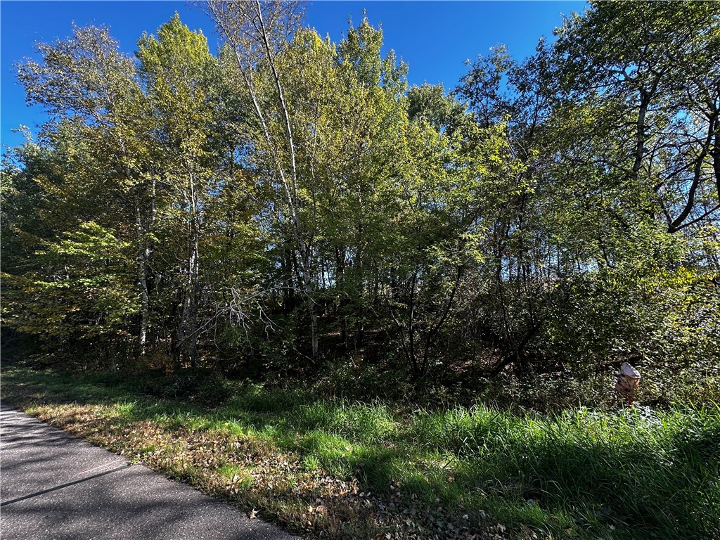 Lot 3 180th Street/181st Street Chippewa Falls WI 54729 1589370 image24