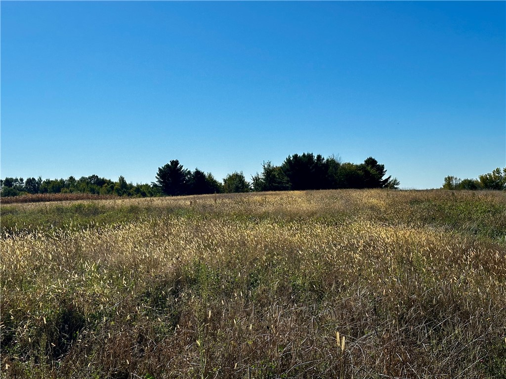 Lot 3 180th Street/181st Street Chippewa Falls WI 54729 1589370 image25