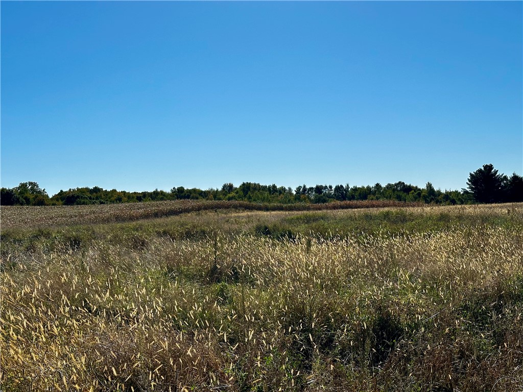 Lot 3 180th Street/181st Street Chippewa Falls WI 54729 1589370 image26