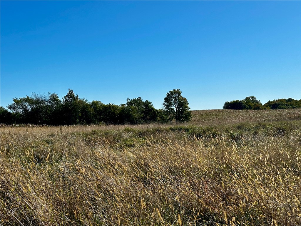 Lot 3 180th Street/181st Street Chippewa Falls WI 54729 1589370 image27