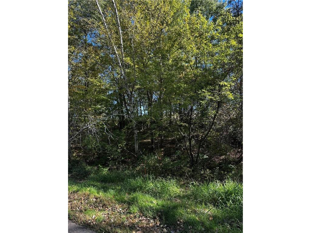 Lot 3 180th Street/181st Street Chippewa Falls WI 54729 1589370 image33
