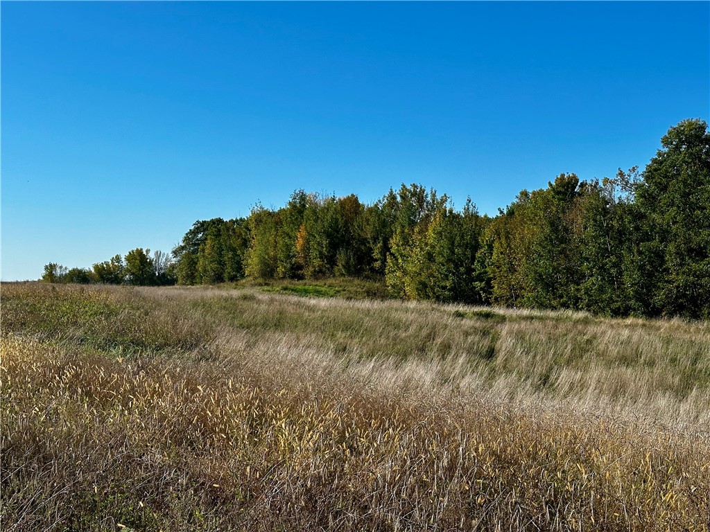 Lot 3 180th Street/181st Street Chippewa Falls WI 54729 1589370 image35