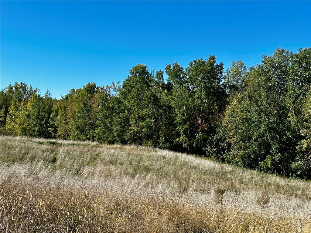 Lot 3 180th Street/181st Street Chippewa Falls WI 54729 1589370 image36