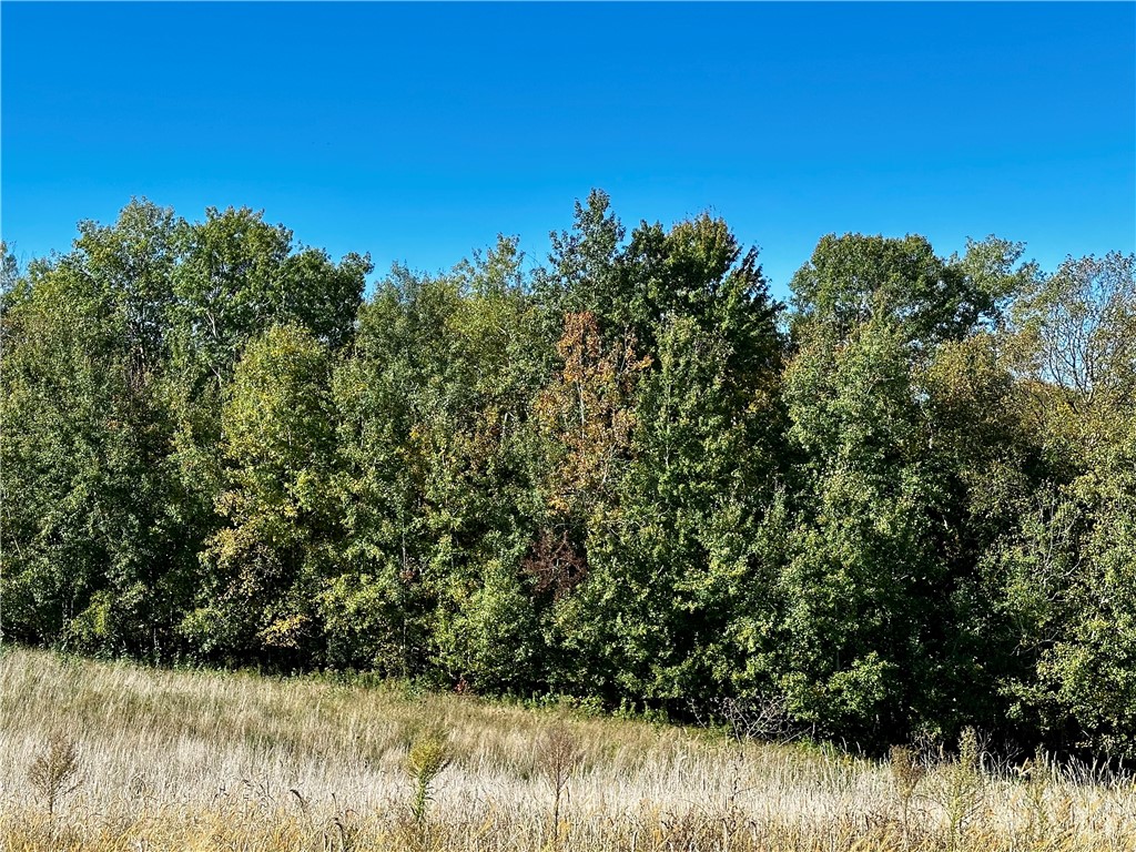 Lot 3 180th Street/181st Street Chippewa Falls WI 54729 1589370 image37
