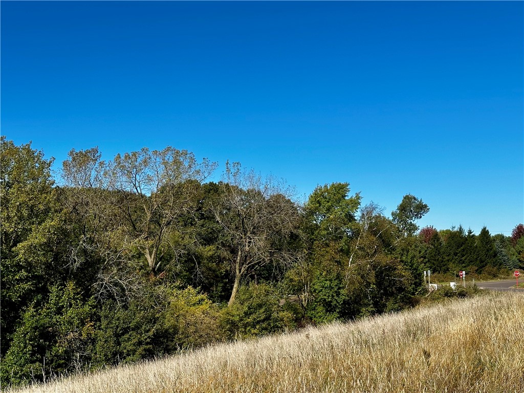 Lot 3 180th Street/181st Street Chippewa Falls WI 54729 1589370 image38