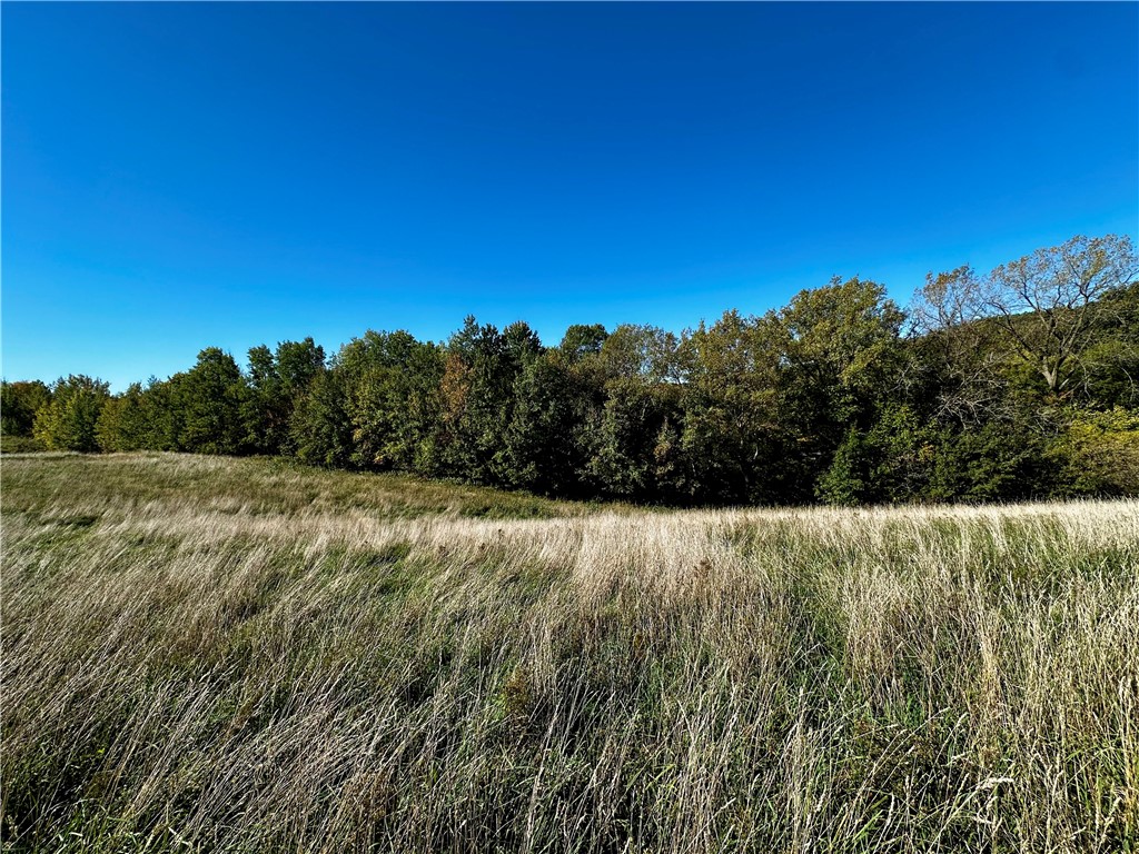 Lot 3 180th Street/181st Street Chippewa Falls WI 54729 1589370 image44