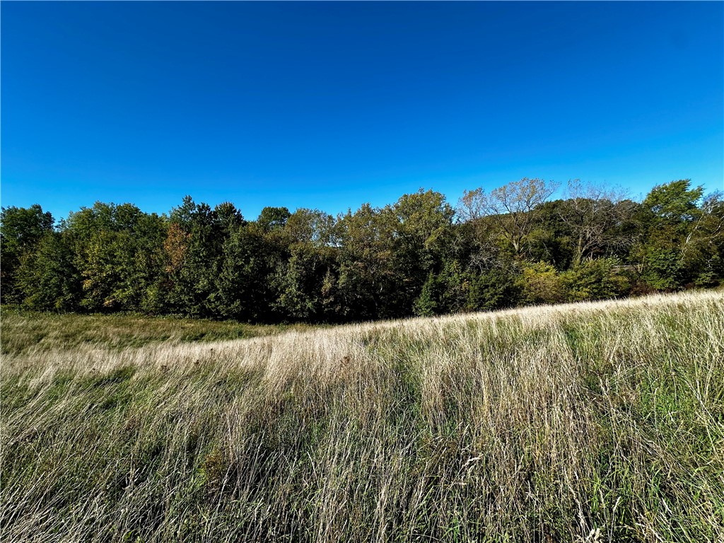 Lot 3 180th Street/181st Street Chippewa Falls WI 54729 1589370 image45