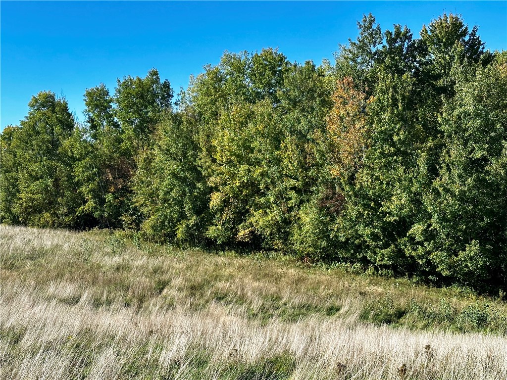 Lot 3 180th Street/181st Street Chippewa Falls WI 54729 1589370 image47