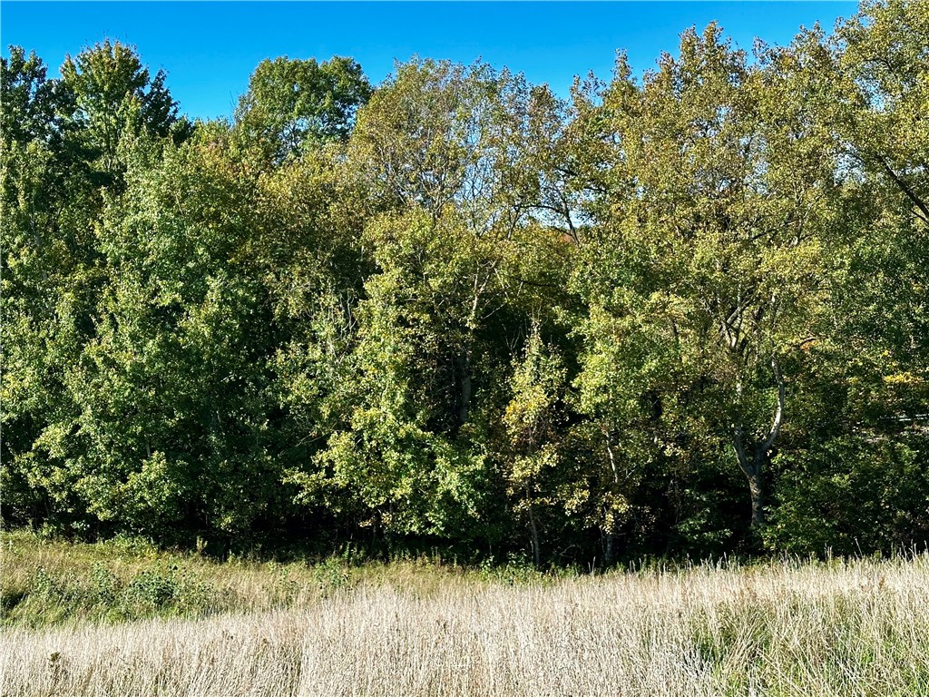 Lot 3 180th Street/181st Street Chippewa Falls WI 54729 1589370 image48