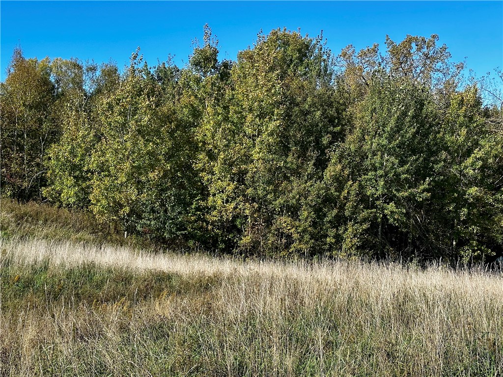 Lot 3 180th Street/181st Street Chippewa Falls WI 54729 1589370 image6