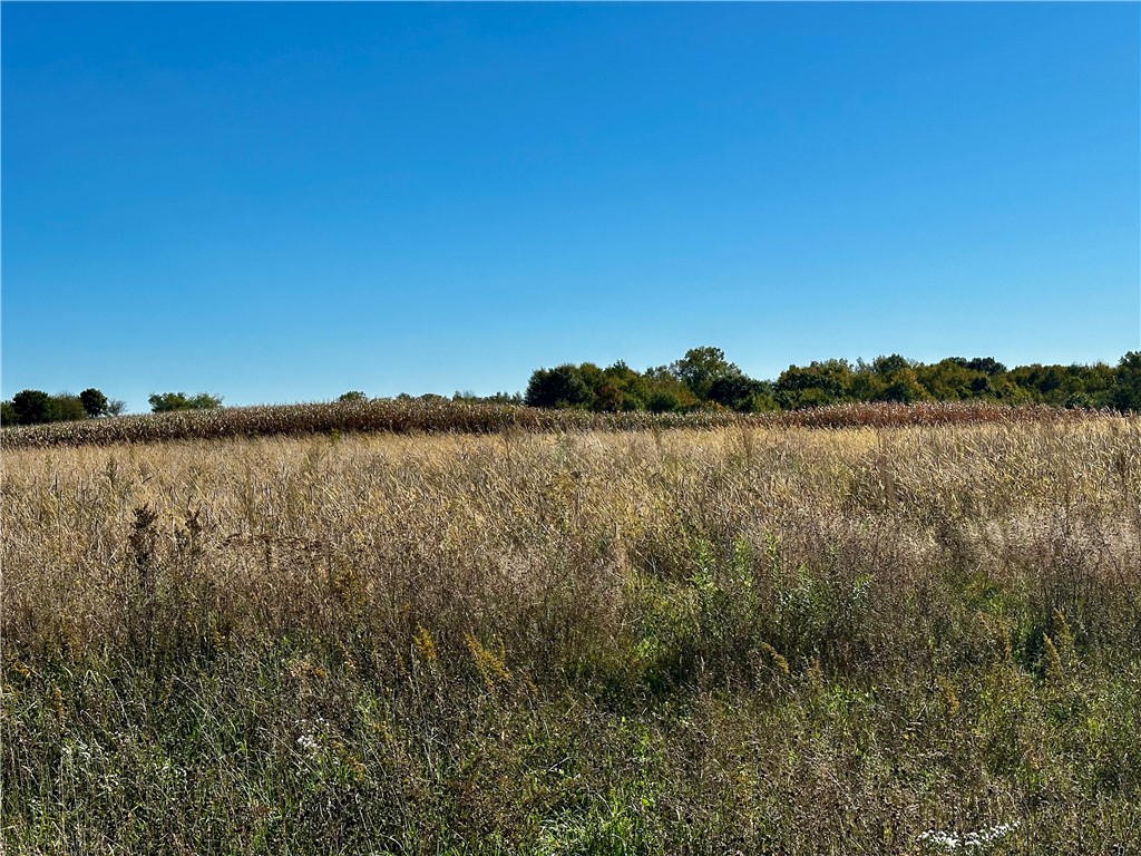 Lot 3 180th Street/181st Street Chippewa Falls WI 54729 1589370 image8