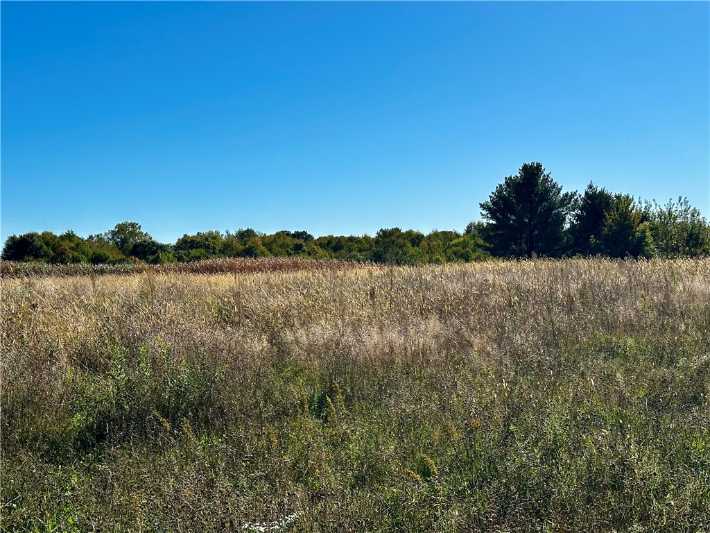 Lot 3 180th Street/181st Street Chippewa Falls WI 54729 1589370 image9