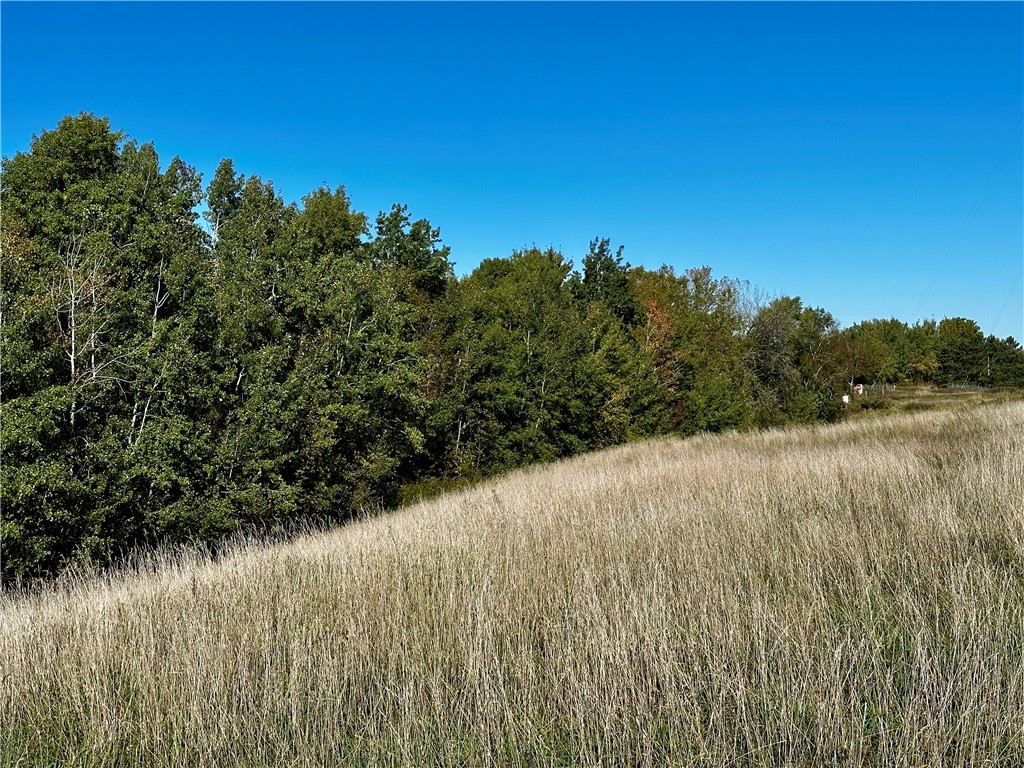 Lot 3 180th Street Chippewa Falls WI 54729 1589370 image4