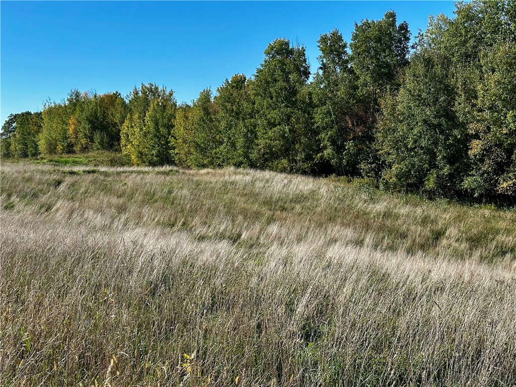 Lot 3 180th Street Chippewa Falls WI 54729 1589370 image40