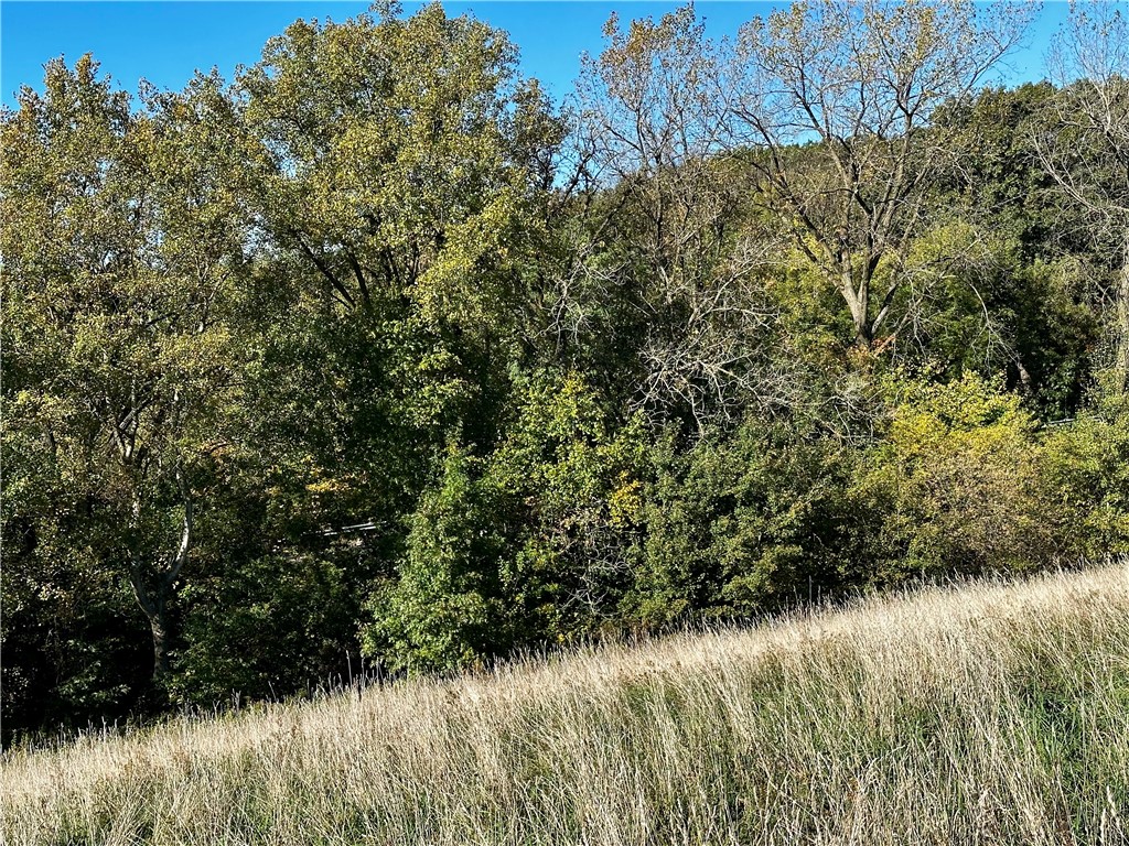 Lot 3 180th Street Chippewa Falls WI 54729 1589370 image49