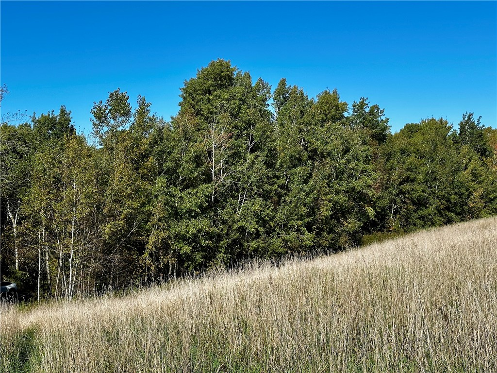 Lot 3 180th Street Chippewa Falls WI 54729 1589370 image5