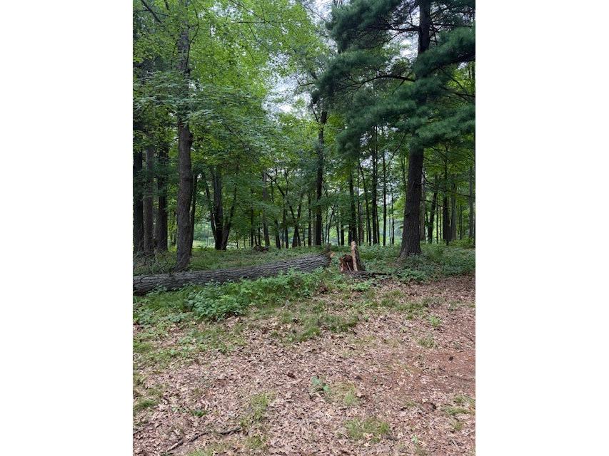 Lot 3 24 3/4 Street Chetek WI 54728 - Barefoot bay of Lake Pokegama 1603325 image1