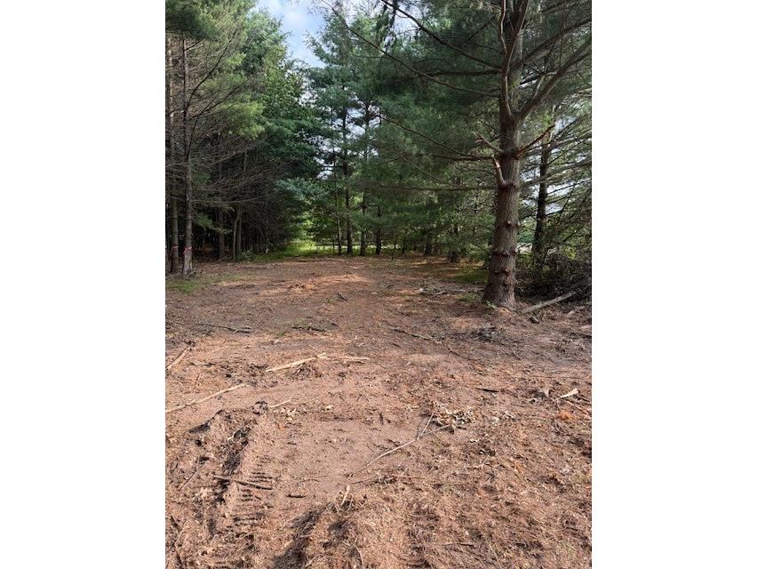 Lot 3 24 3/4 Street Chetek WI 54728 - Barefoot bay of Lake Pokegama 1603325 image6
