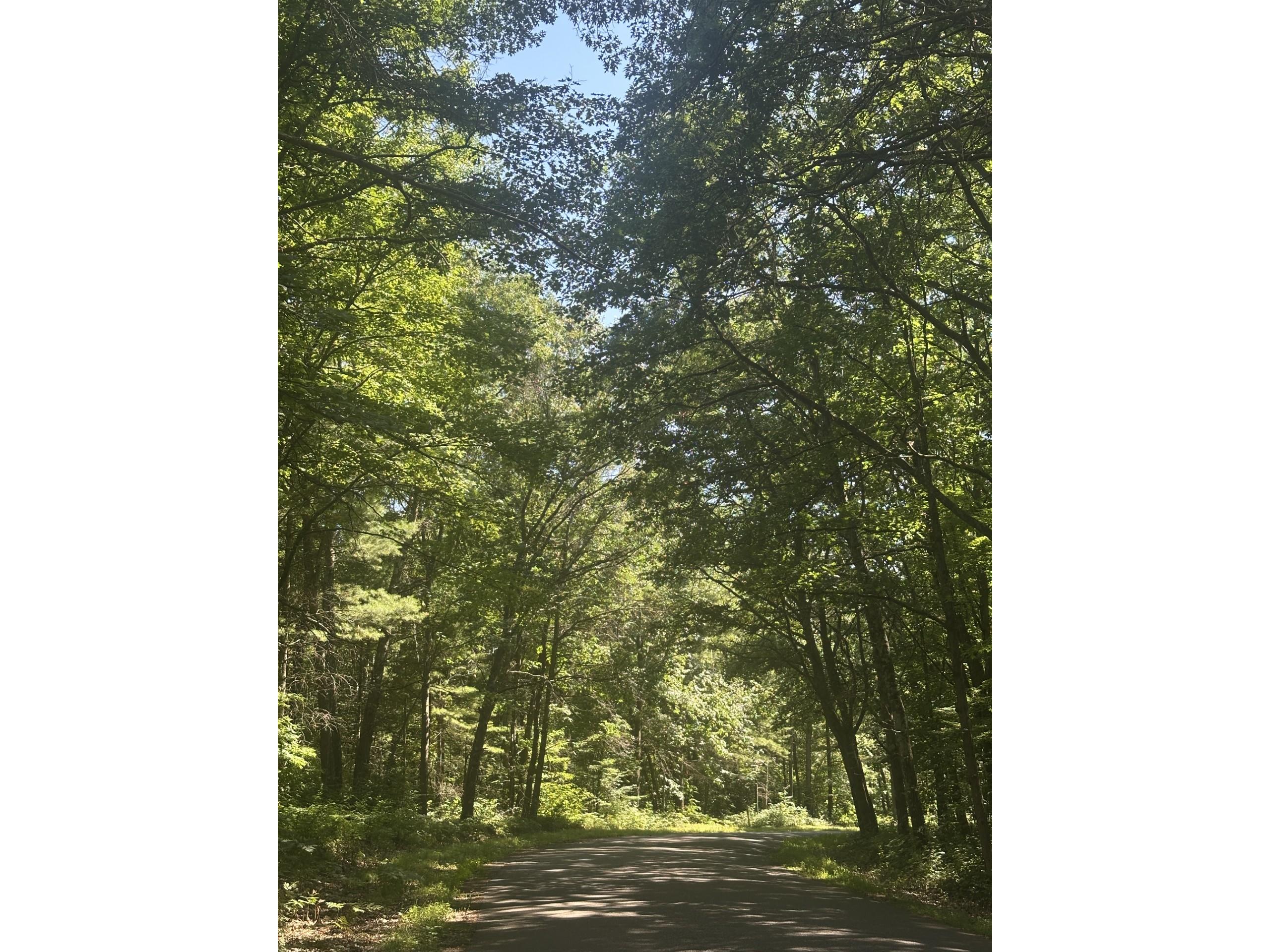 Lot 3 271st Street Holcombe WI 54745 1603202 image1