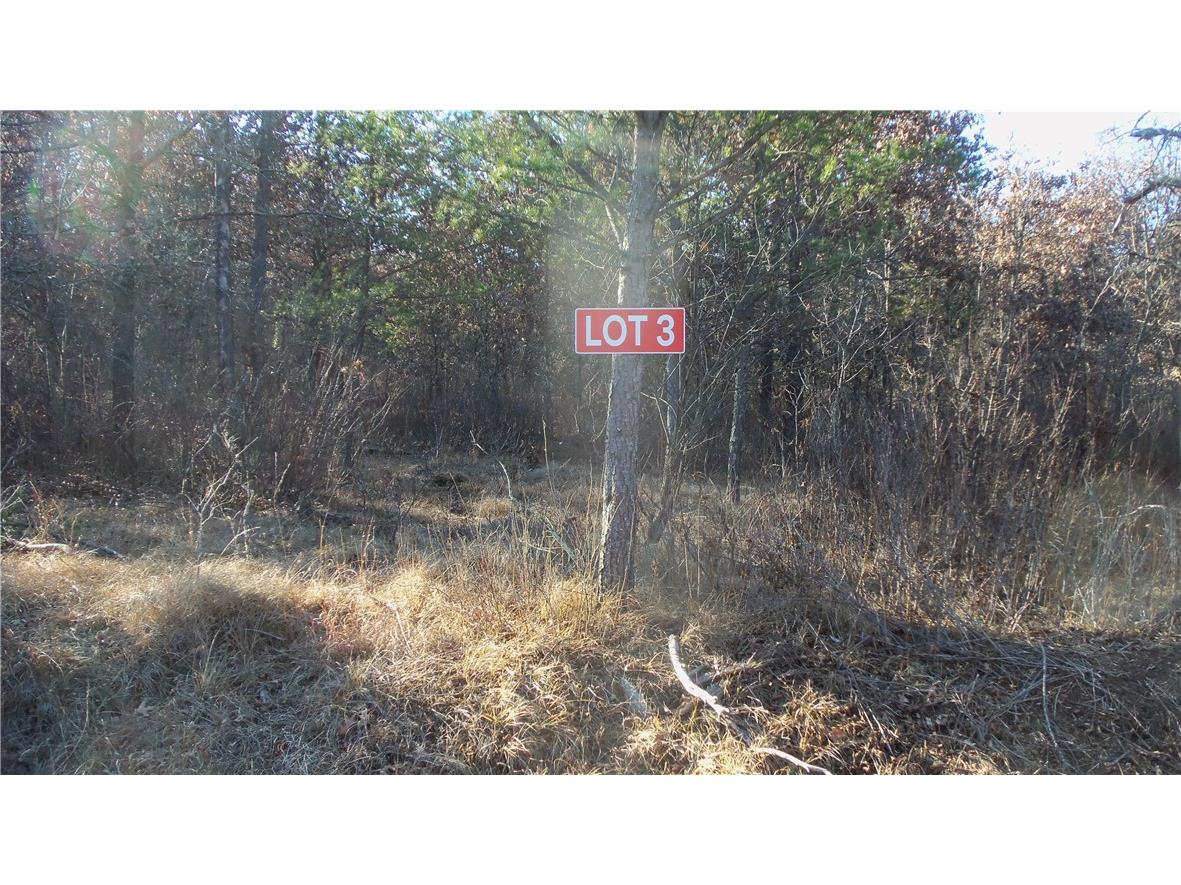 Lot 3 275th St St.Croix Falls WI 54024 1587901 image1