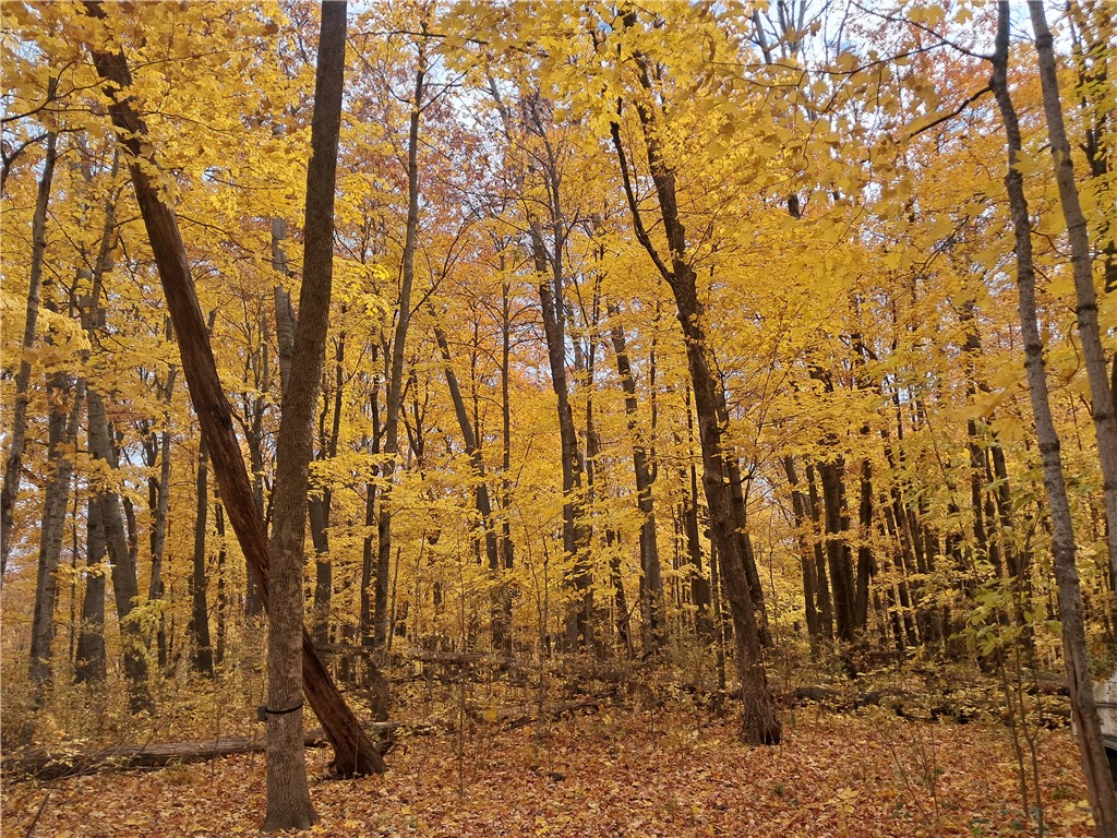 Lot 3 310th Avenue Frederic WI 54837 1586906 image1