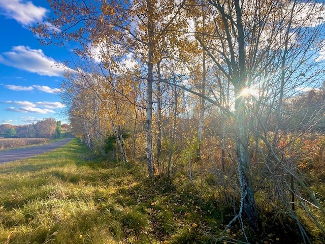 Lot 3 320th Street Clear Lake WI 54005 1597382 image1