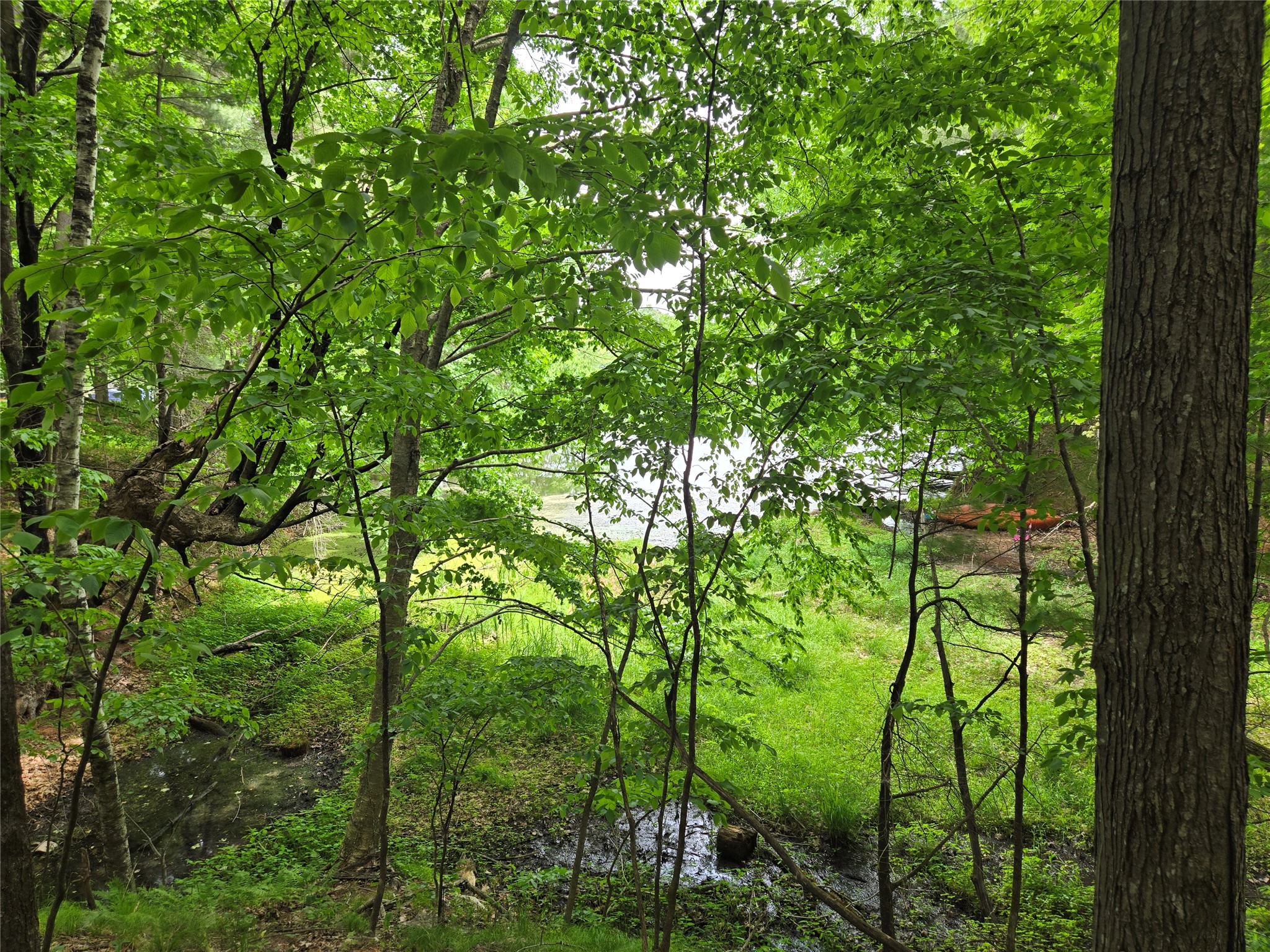 Lot 3 732nd Avenue Menomonie WI 54751 - Tainter Lake 1599578 image2
