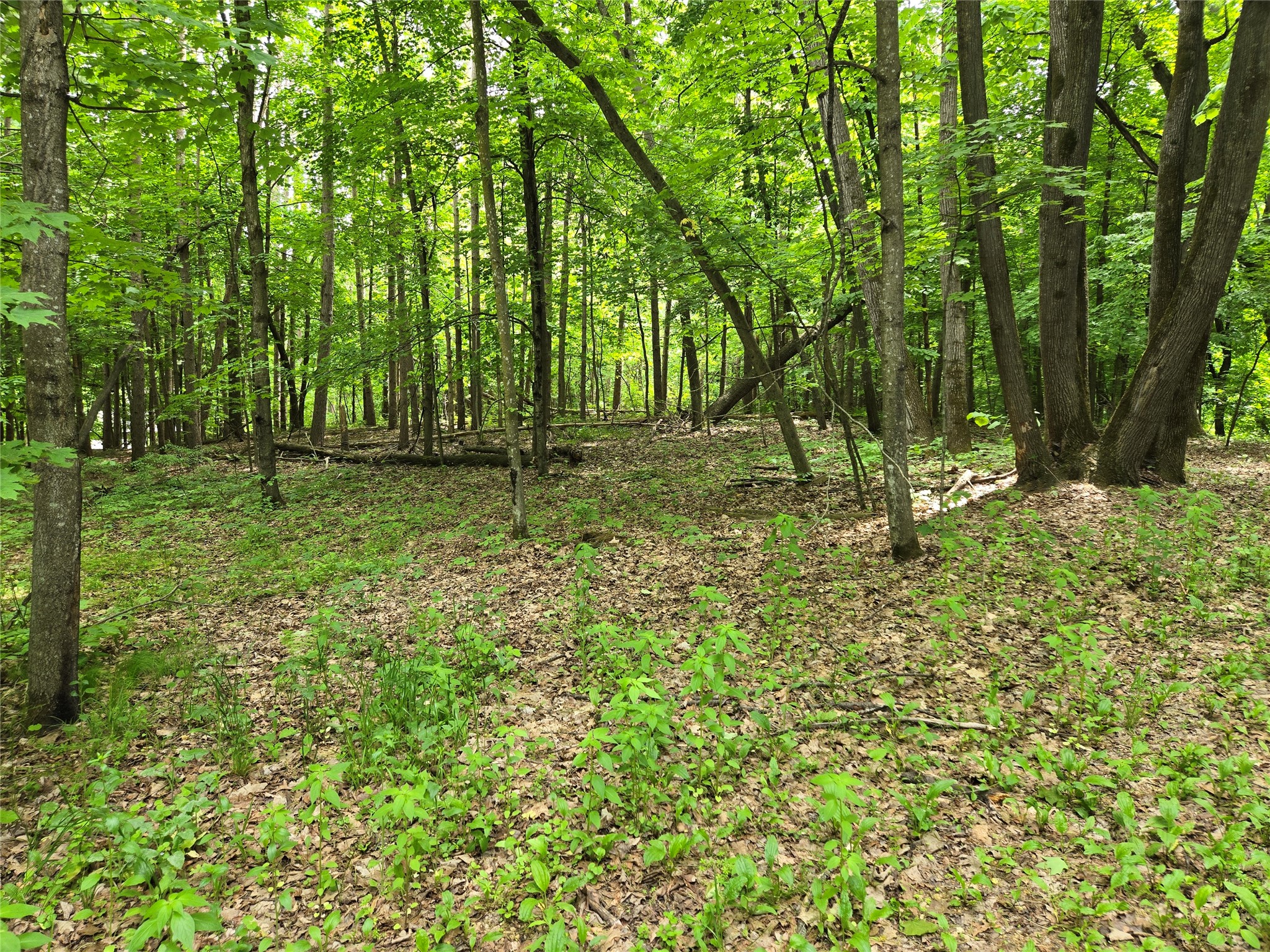 Lot 3 732nd Avenue Menomonie WI 54751 - Tainter Lake 1599578 image4