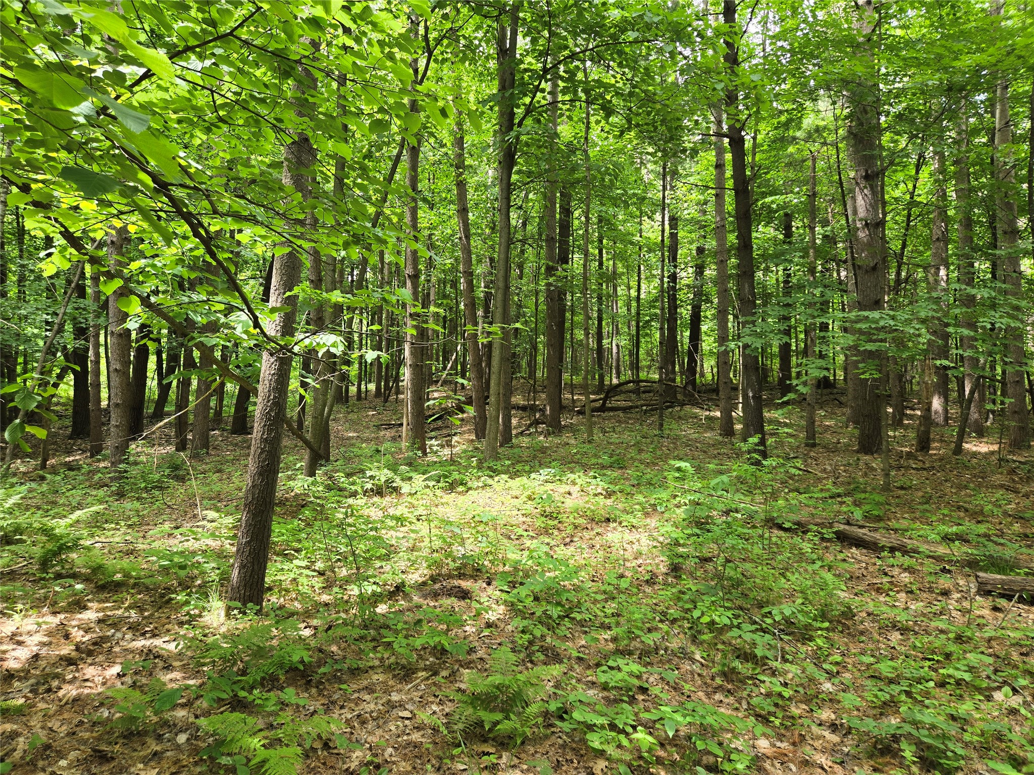 Lot 3 732nd Avenue Menomonie WI 54751 - Tainter Lake 1599578 image6