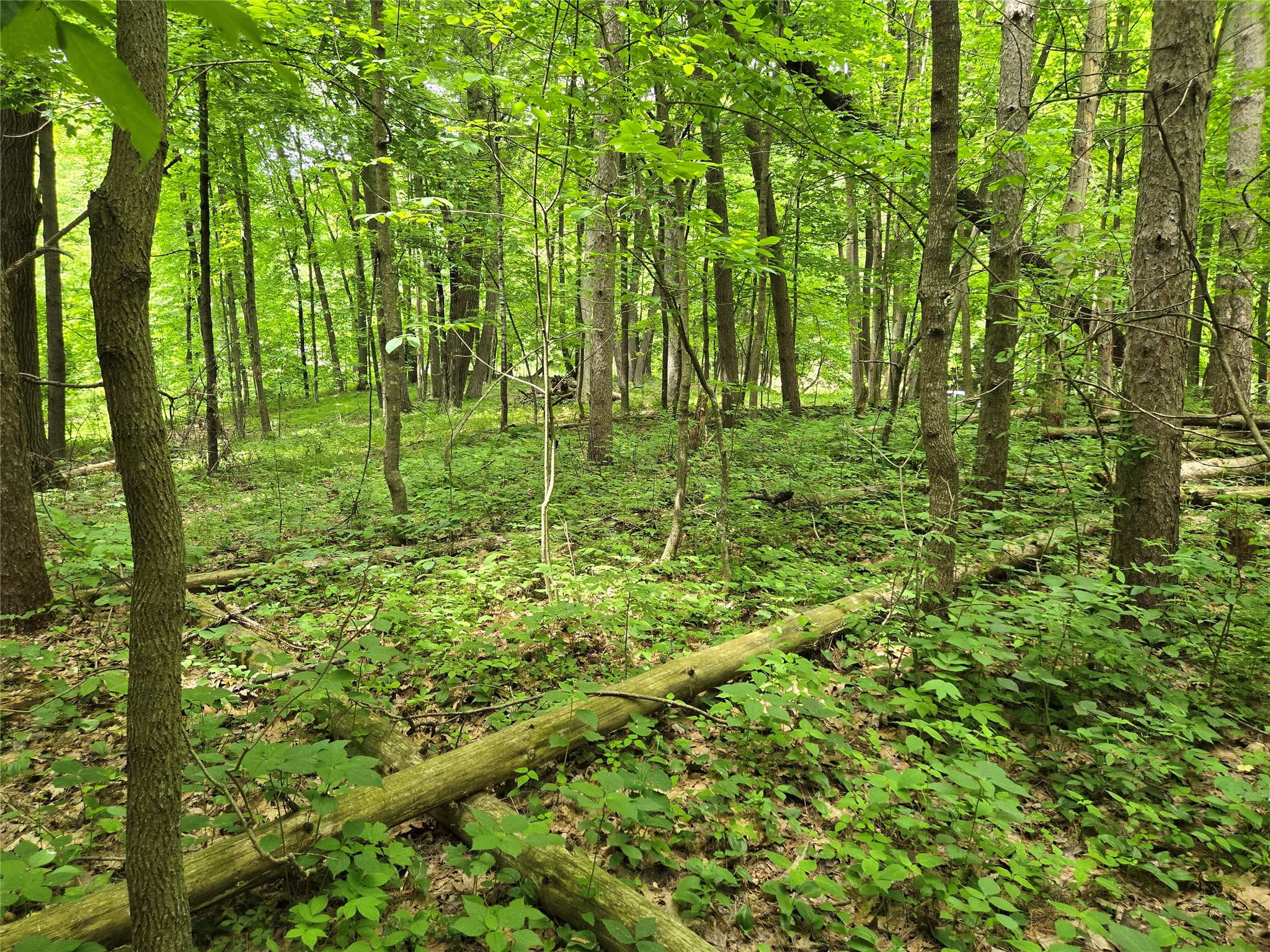 Lot 3 732nd Avenue Menomonie WI 54751 - Tainter Lake 1599578 image7