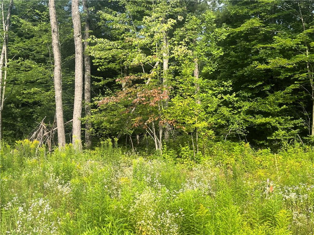 Lot 3 77th Court Cadott WI 54727 1575491 image1