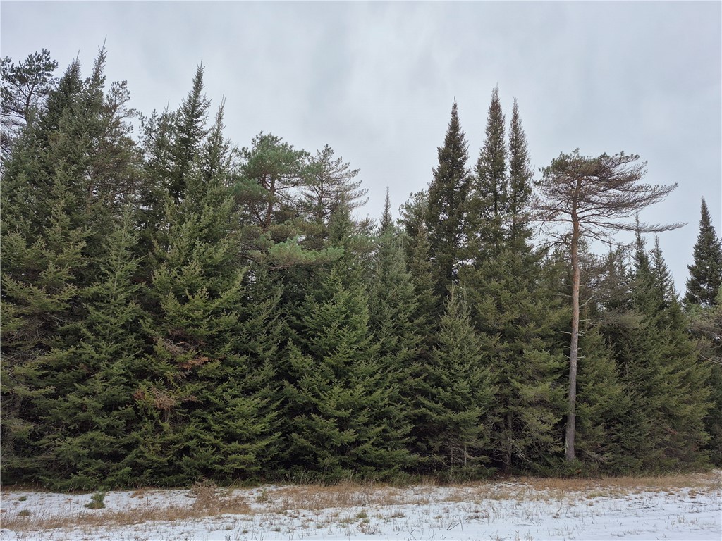 Lot 3 Autumn Moon Road Hayward WI 54843 1587734 image1