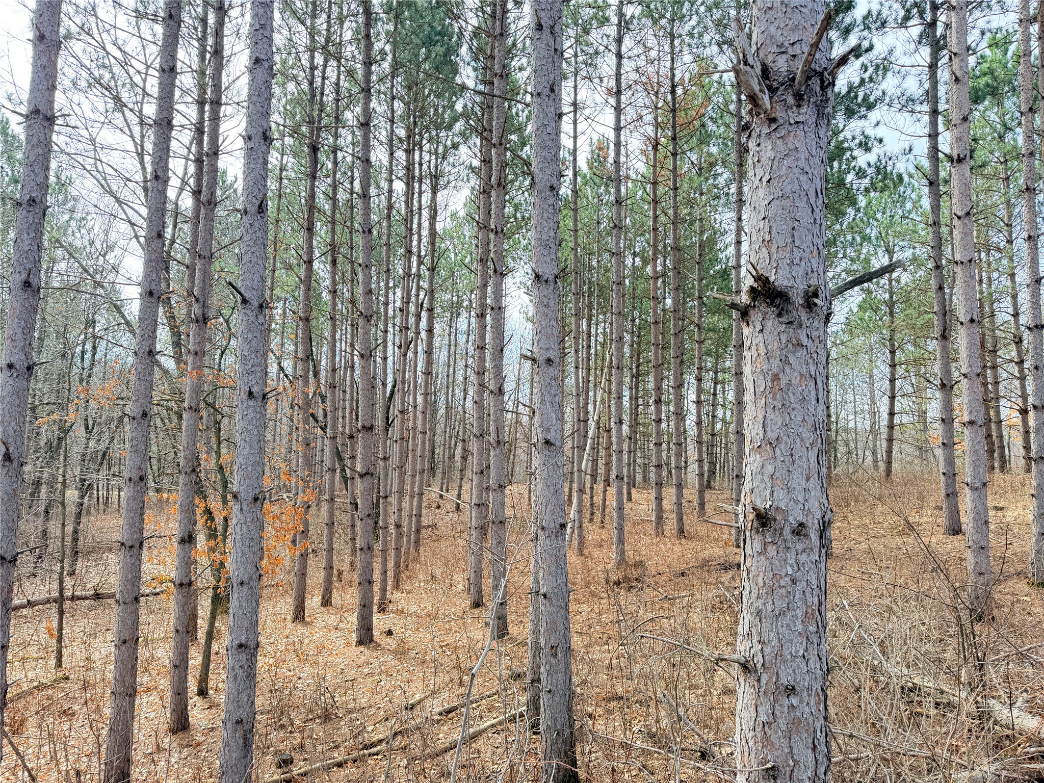 Lot 3 Big Lake Drive Osceola WI 54020 - 36-14 1599897 image10