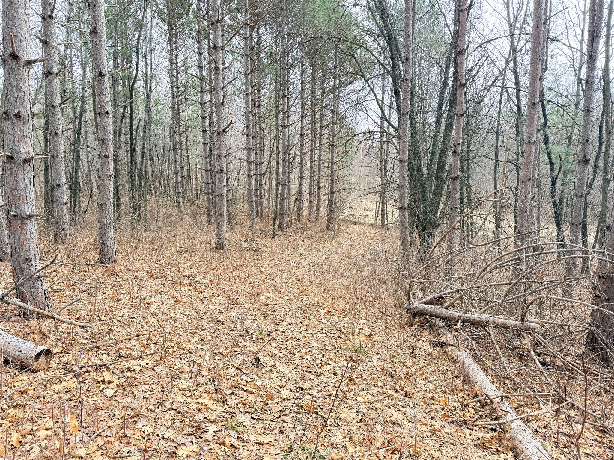 Lot 3 Big Lake Drive Osceola WI 54020 - 36-14 1599897 image12