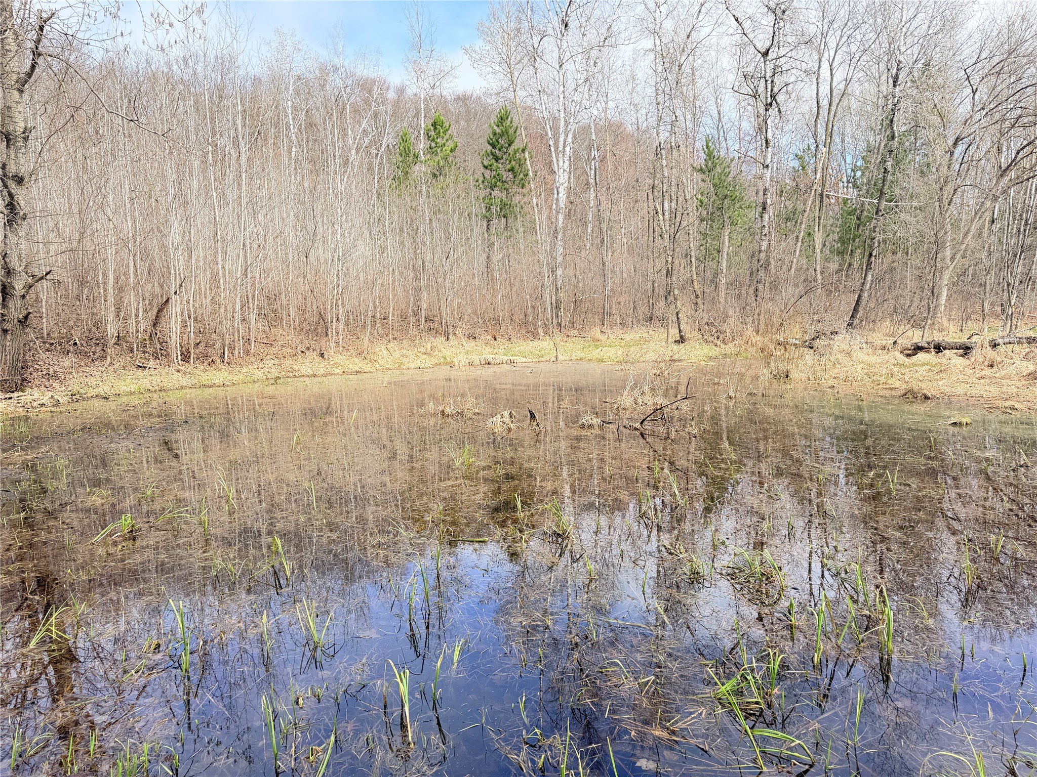 Lot 3 Big Lake Drive Osceola WI 54020 - 36-14 1599897 image13