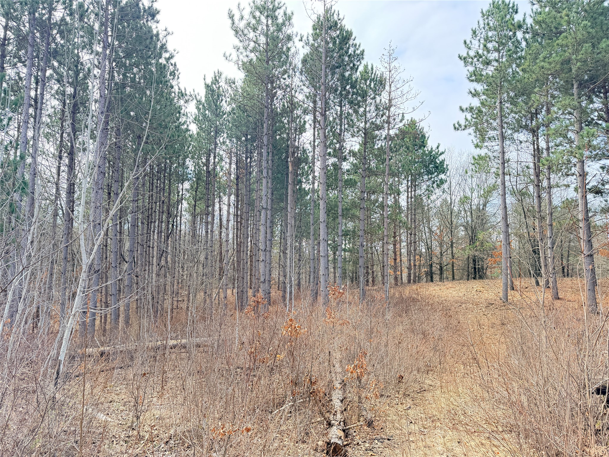 Lot 3 Big Lake Drive Osceola WI 54020 - 36-14 1599897 image14