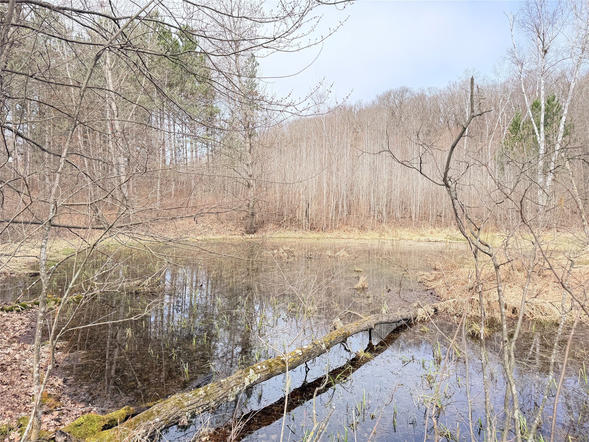 Lot 3 Big Lake Drive Osceola WI 54020 - 36-14 1599897 image15