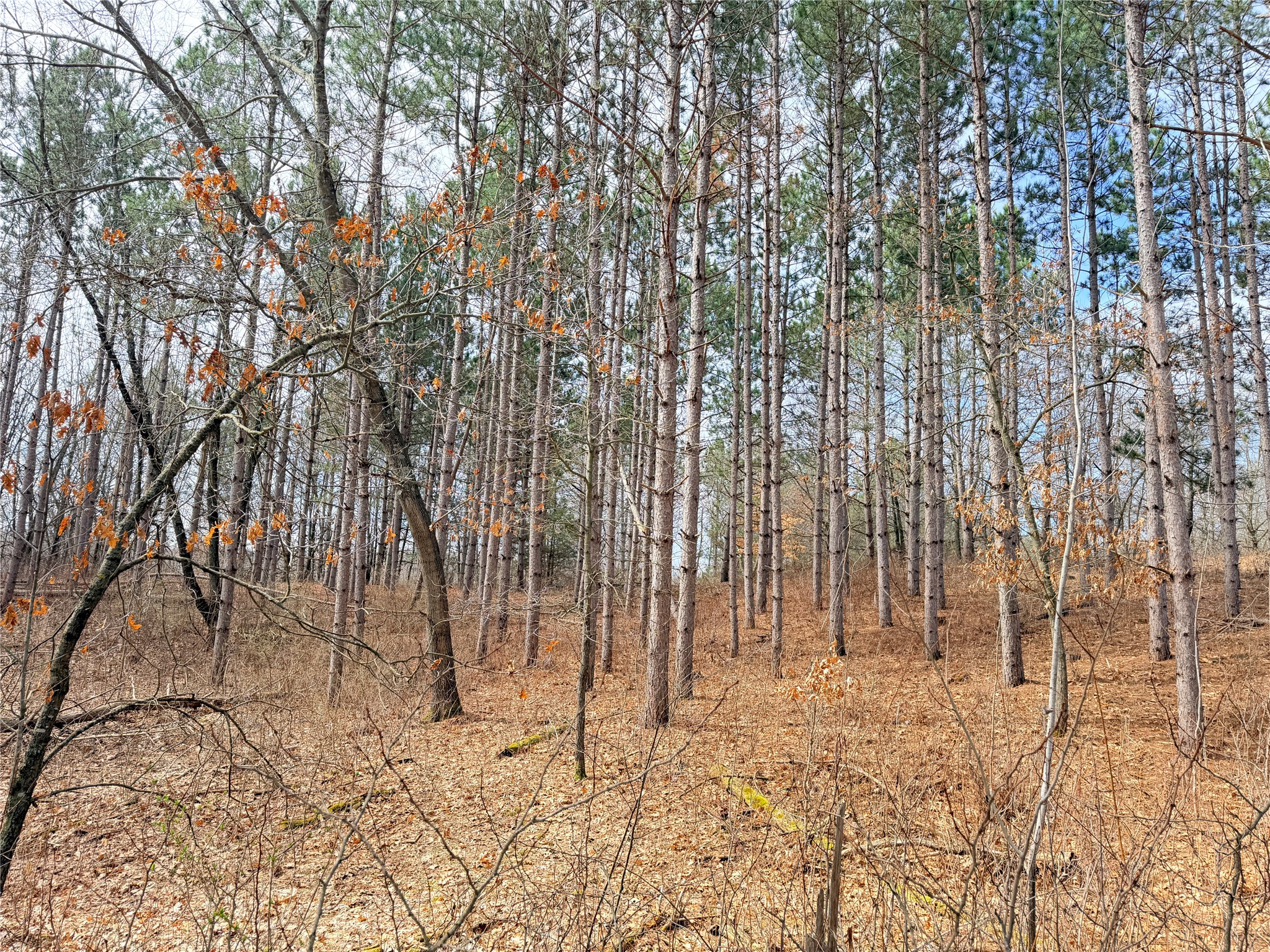 Lot 3 Big Lake Drive Osceola WI 54020 - 36-14 1599897 image16