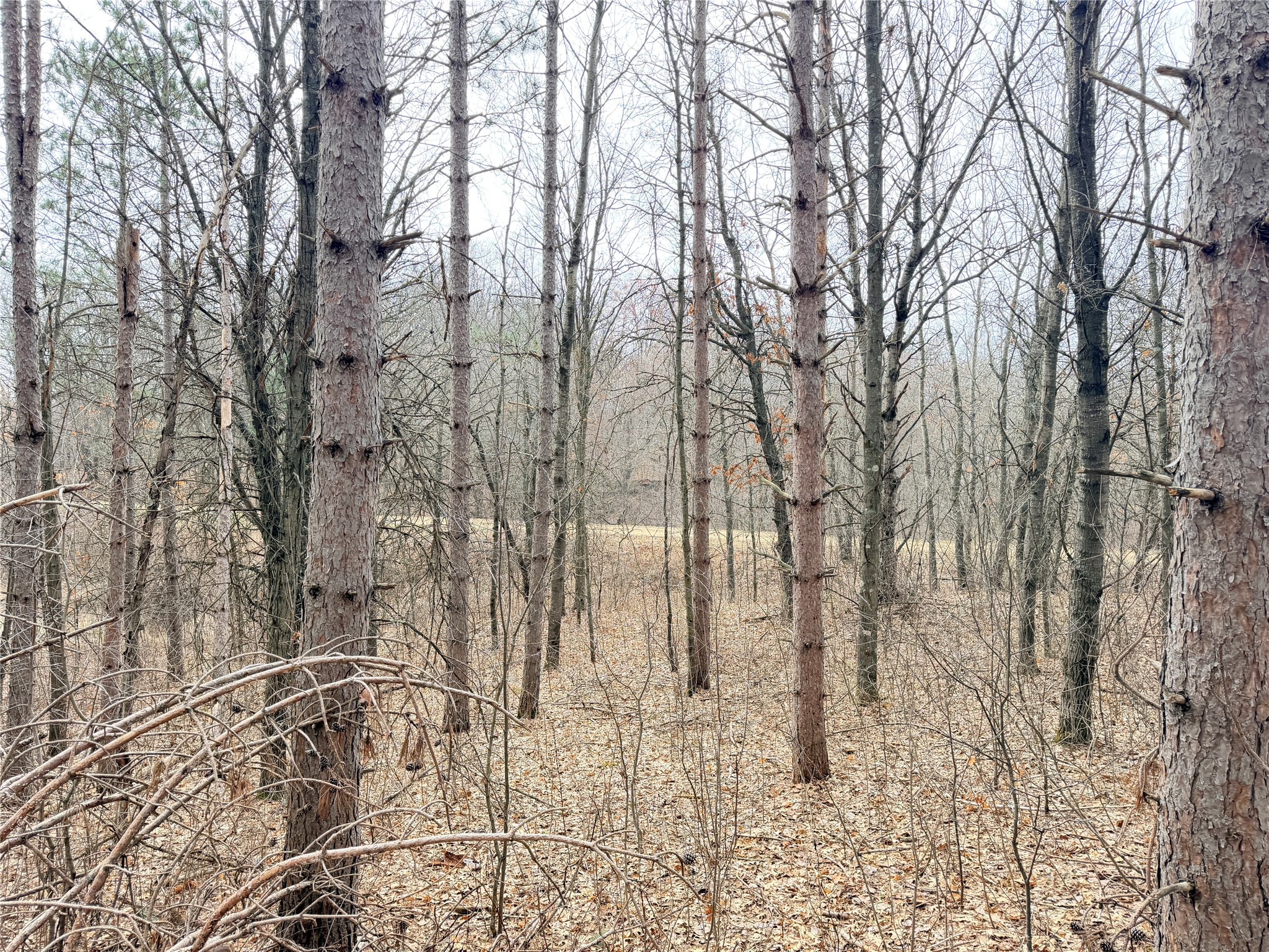 Lot 3 Big Lake Drive Osceola WI 54020 - 36-14 1599897 image17