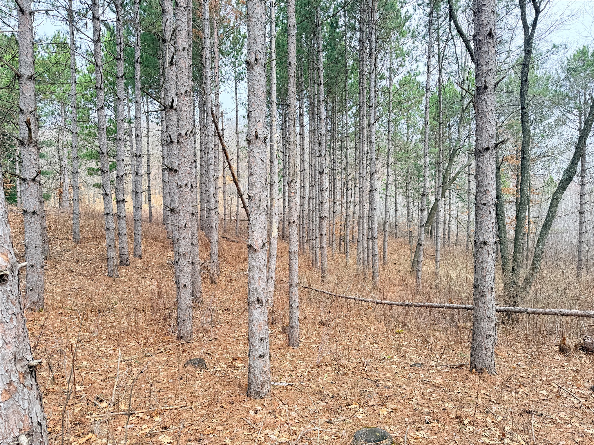 Lot 3 Big Lake Drive Osceola WI 54020 - 36-14 1599897 image18