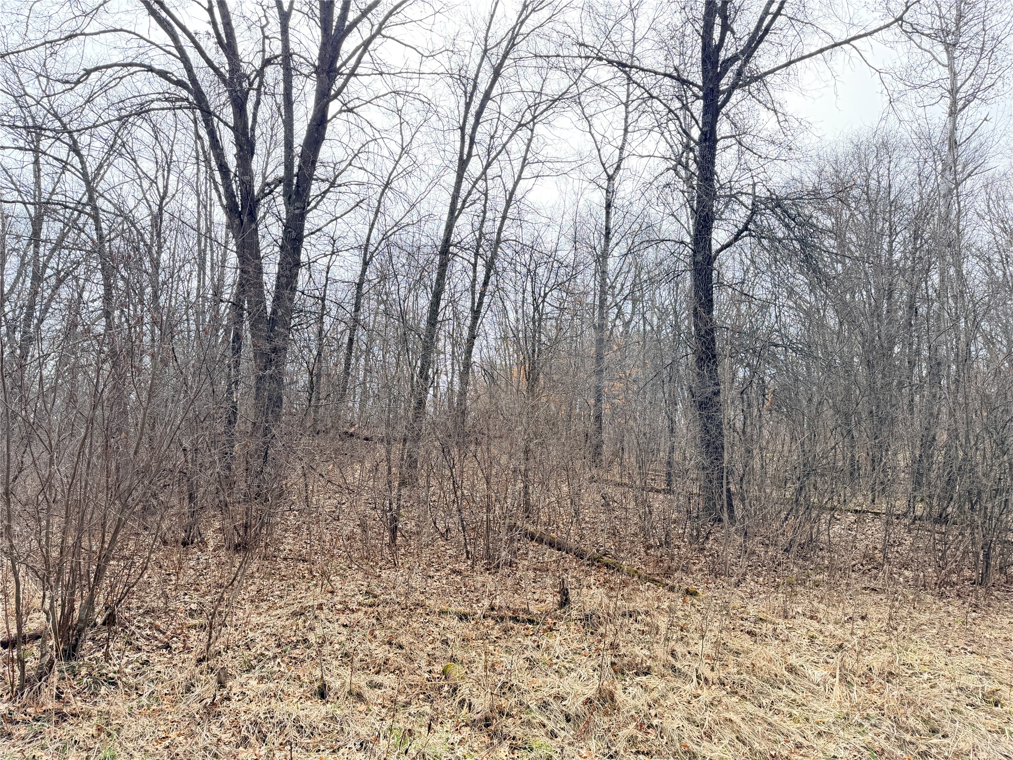 Lot 3 Big Lake Drive Osceola WI 54020 - 36-14 1599897 image19
