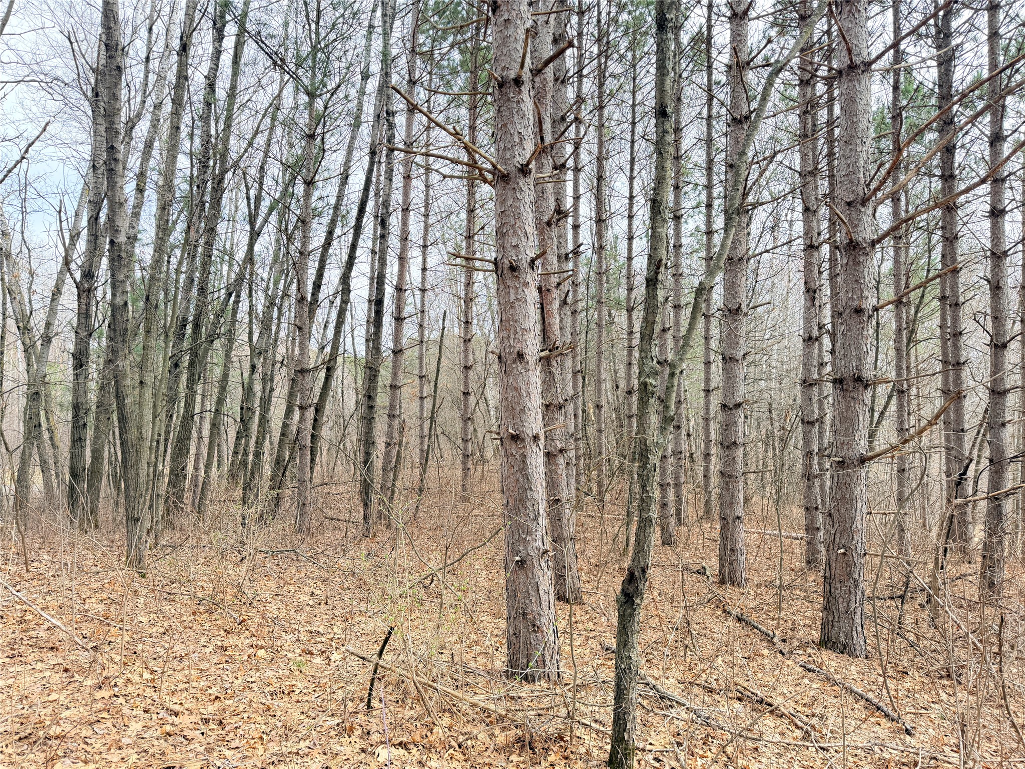 Lot 3 Big Lake Drive Osceola WI 54020 - 36-14 1599897 image20