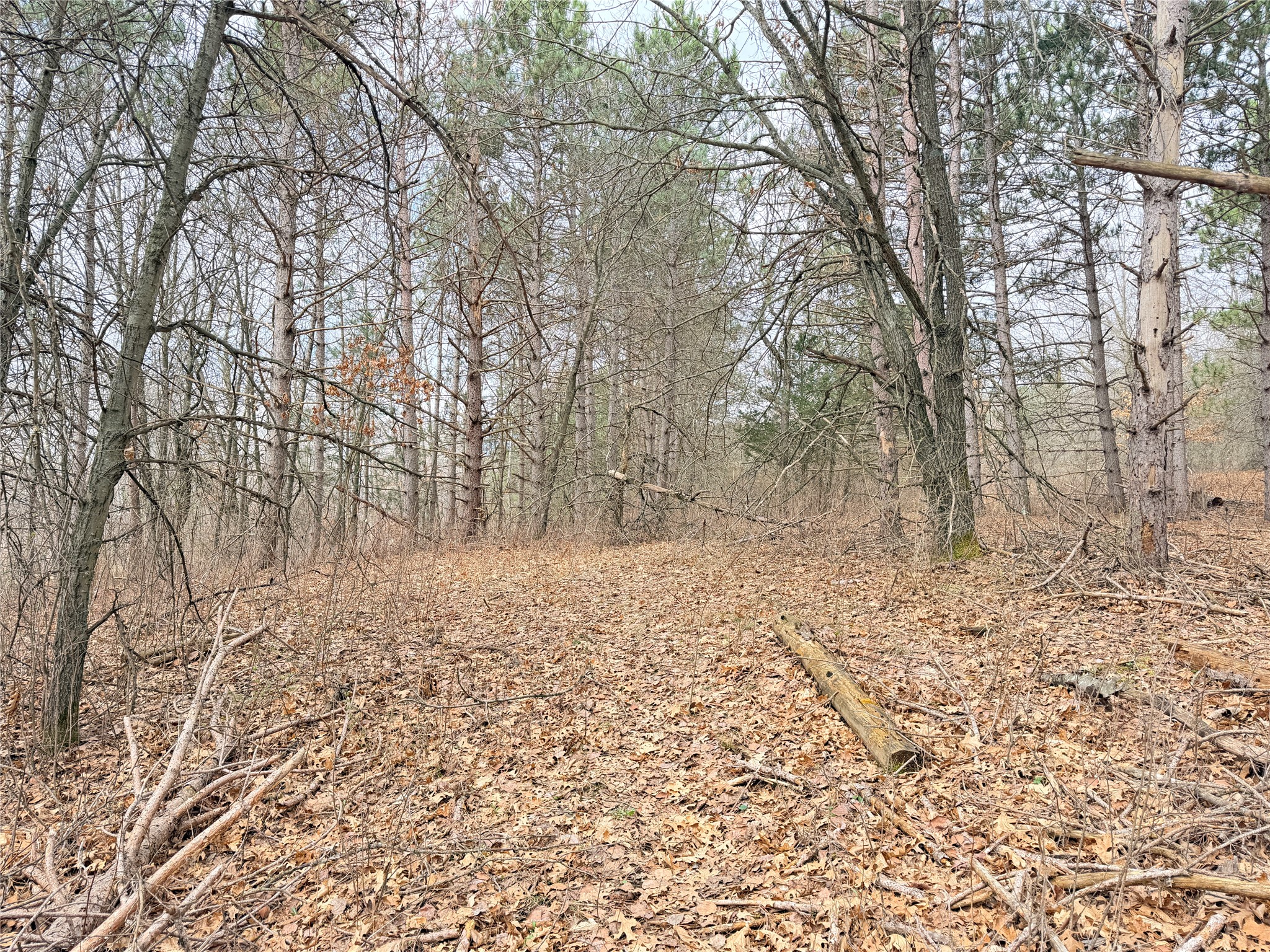 Lot 3 Big Lake Drive Osceola WI 54020 - 36-14 1599897 image21