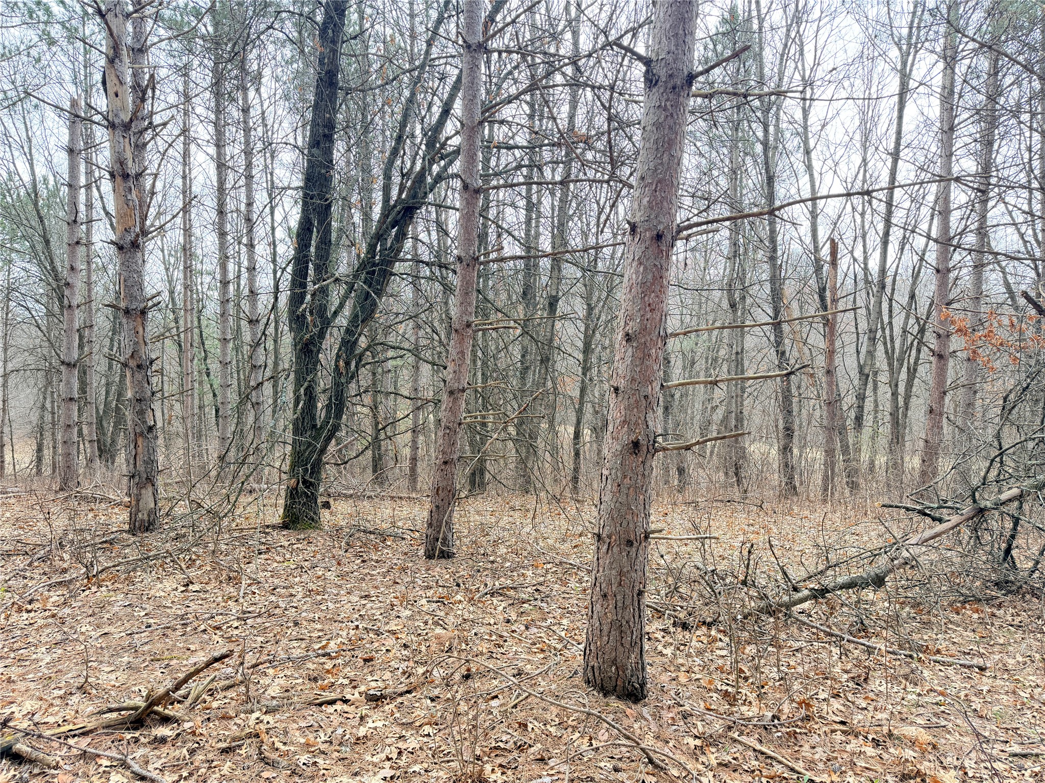 Lot 3 Big Lake Drive Osceola WI 54020 - 36-14 1599897 image22