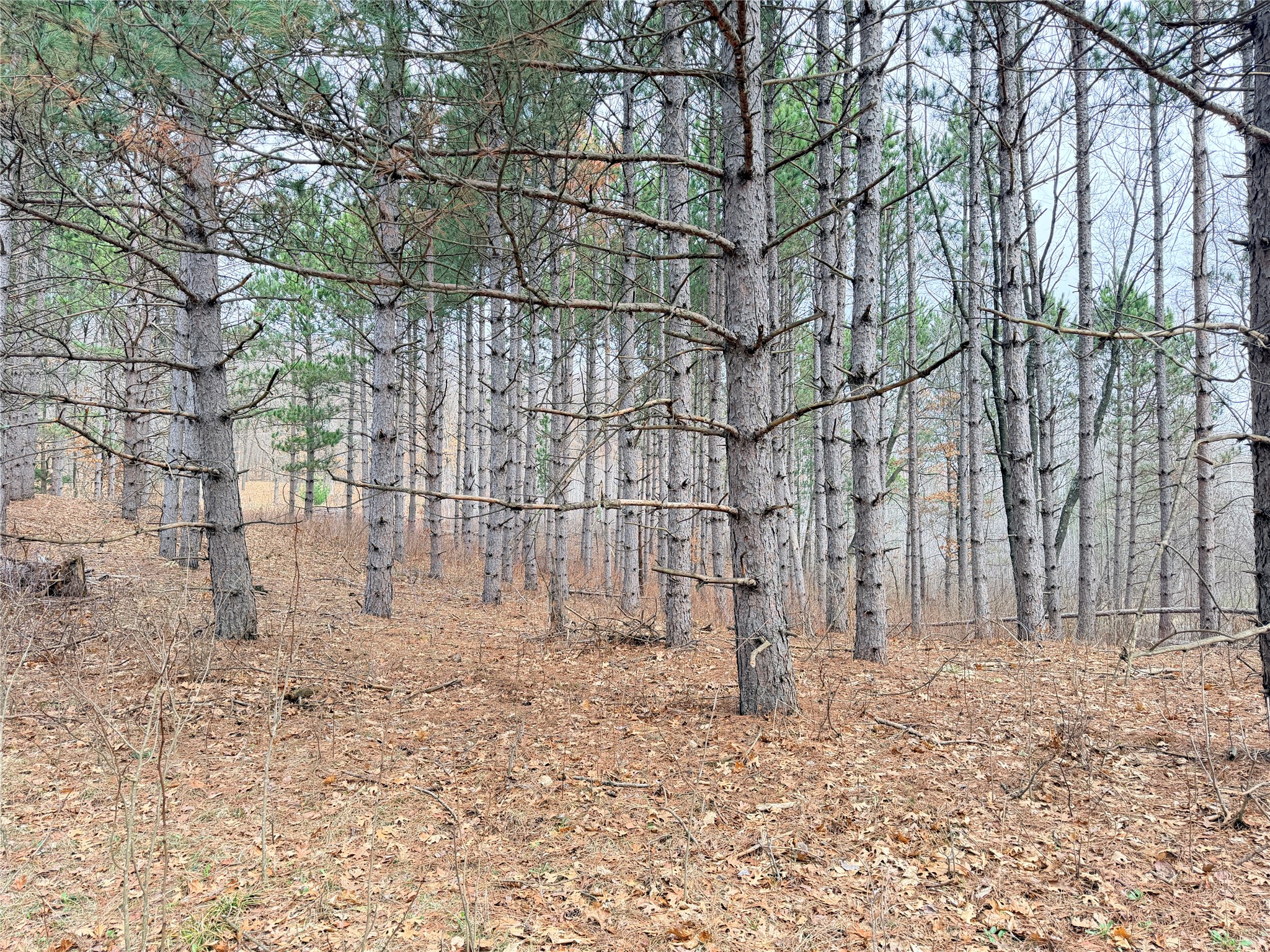 Lot 3 Big Lake Drive Osceola WI 54020 - 36-14 1599897 image4