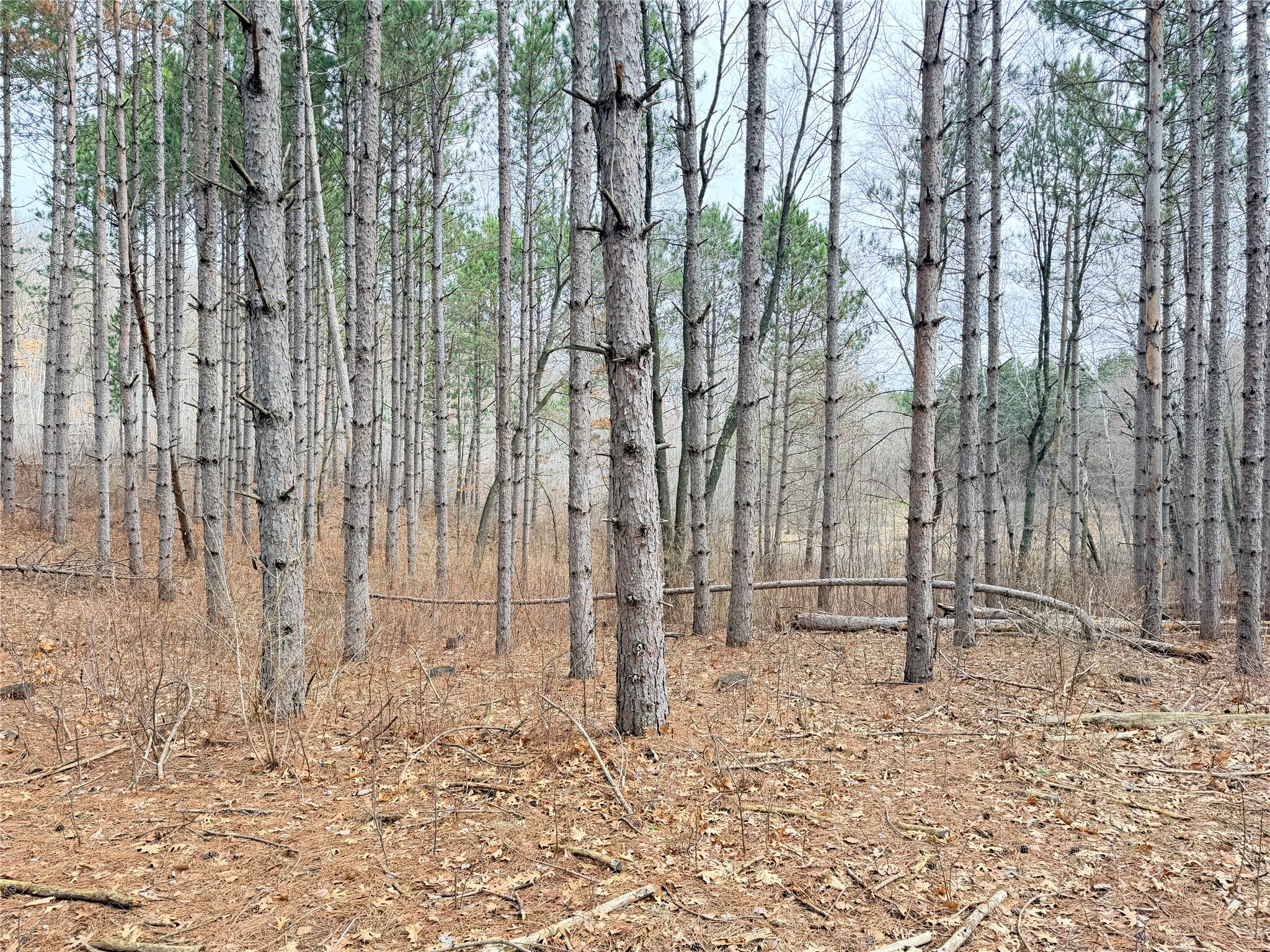Lot 3 Big Lake Drive Osceola WI 54020 - 36-14 1599897 image6