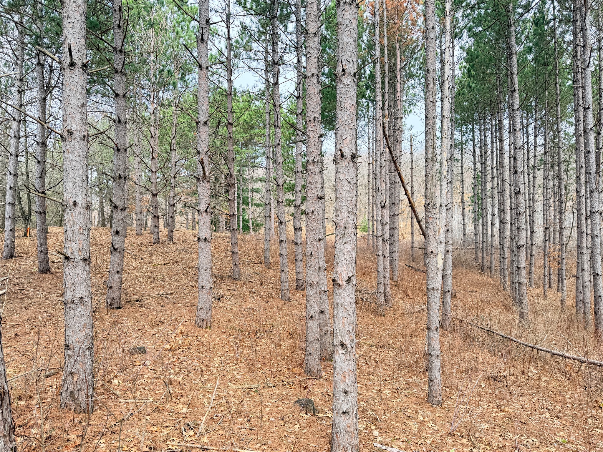 Lot 3 Big Lake Drive Osceola WI 54020 - 36-14 1599897 image8