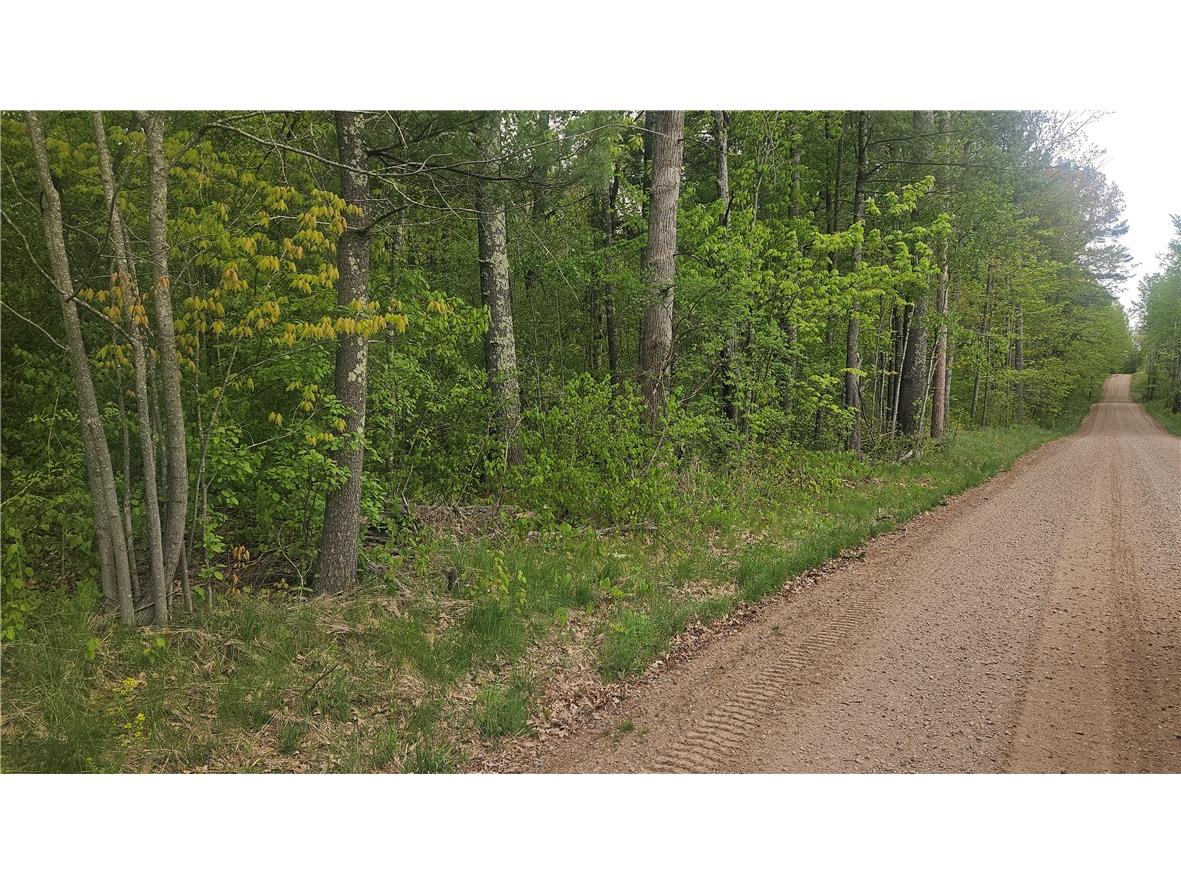 Lot 3 Buckeye Lane Stone Lake WI 54876 1591844 image1